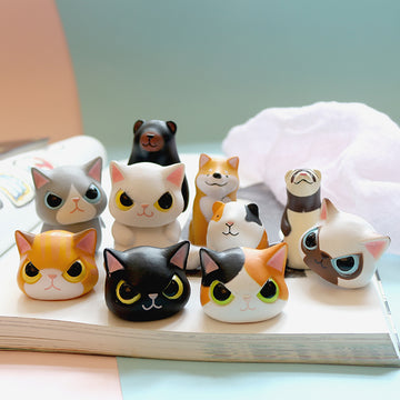 Funny Cat Topper Gifts