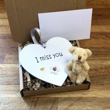 Emotional Support Lovely Bear Gift