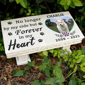 Personalized Bench Pet Memorial Garden Stone Plaque with Colorful Photo