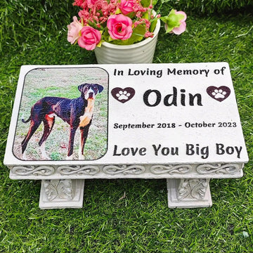 Custom Pet Memorial Stone with Colorful Photo