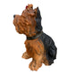 Lifelike Yorkshire Terrier Resin Statue, Cute Garden Yard Decor, Gift for Dog Lovers