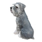 Lifelike Schnauzer Resin Statue, Outdoor Garden Patio Decor, Gift for Dog Lovers
