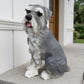 Lifelike Schnauzer Resin Statue, Outdoor Garden Patio Decor, Gift for Dog Lovers