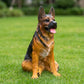 Lifelike German Shepherd Resin Statue, Outdoor Garden Yard Decor, Gift for Dog Lovers