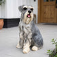 Lifelike Schnauzer Resin Statue, Outdoor Garden Patio Decor, Gift for Dog Lovers