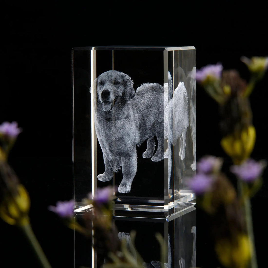 Personalized Sympathy Tribute Custom Gift for Loss of Beloved Pet with Crystal Decor