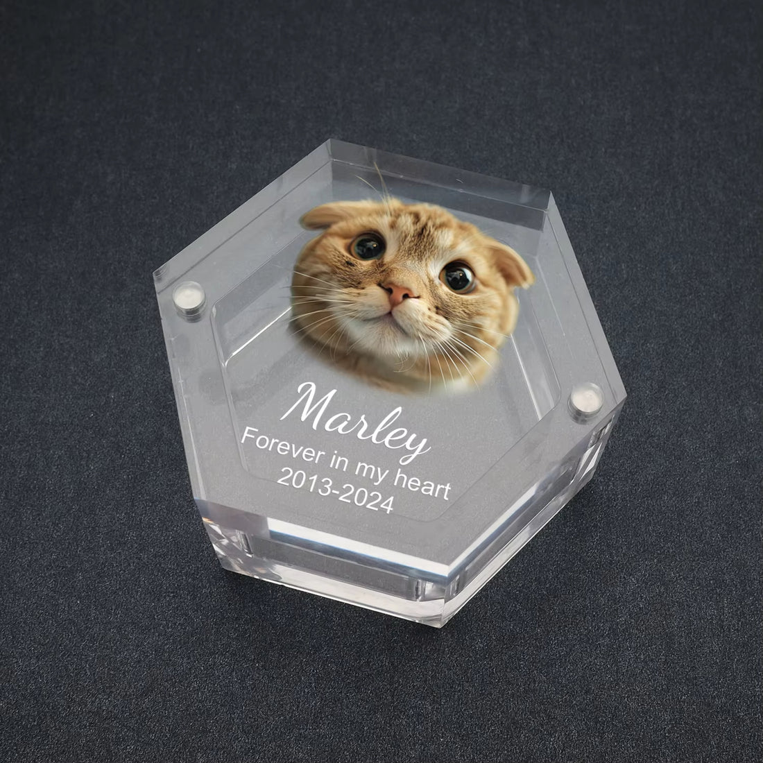 Personalized Keepsake Box with Photo Customized Pet Hair Box